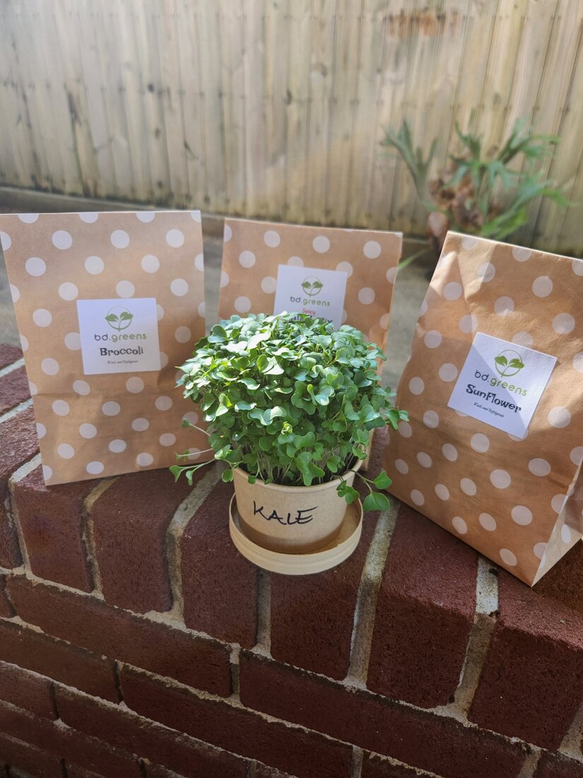 BD Greens Mini Grow Kits