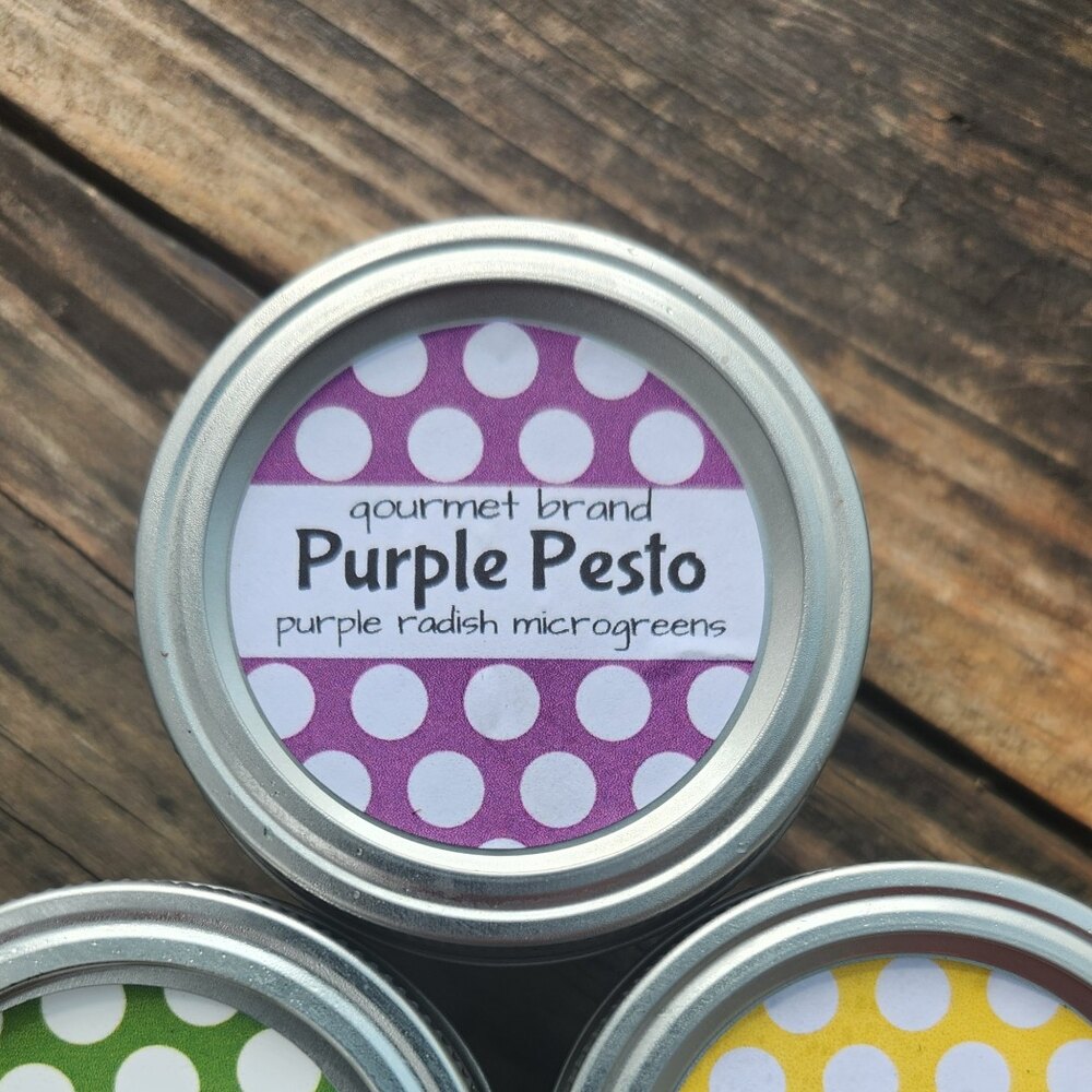 BD Greens Purple Radish Pesto