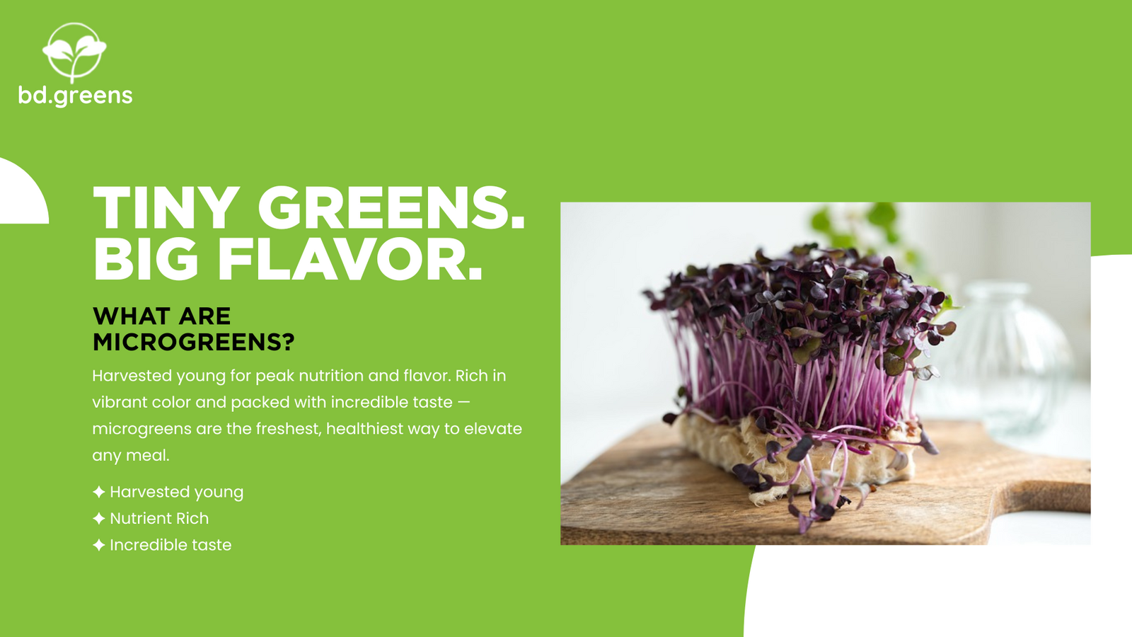 What are microgreens? Tiny greens with big flavor